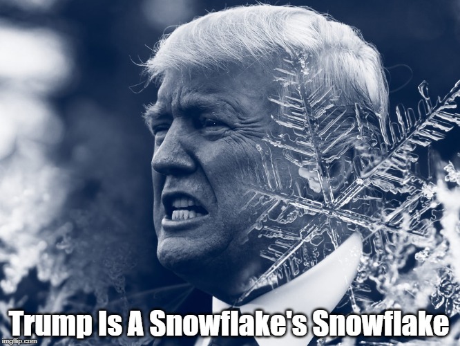 "Trump Is A Snowflake's Snowflake" Imgflip