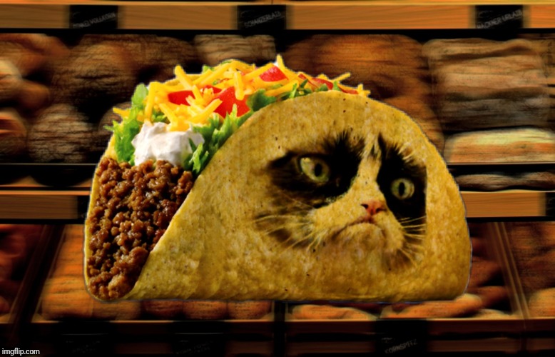 Grumpy taco cat Imgflip