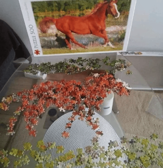 Horse Puzzle Blank Template Imgflip
