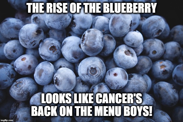 Image tagged in blueberries Imgflip