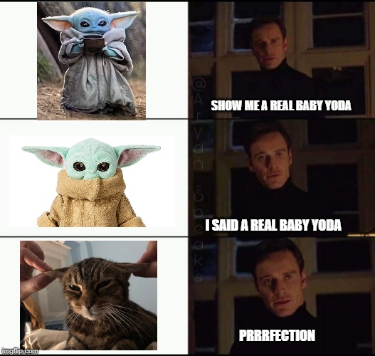 show me the real Memes Imgflip