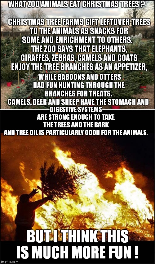 Post Christmas Fun Imgflip