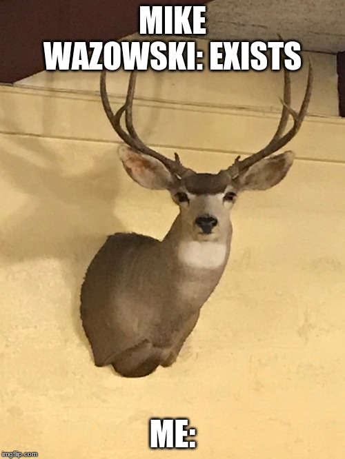 Image tagged in staring deer Imgflip