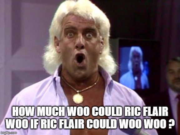 Image tagged in ric flair friday Imgflip