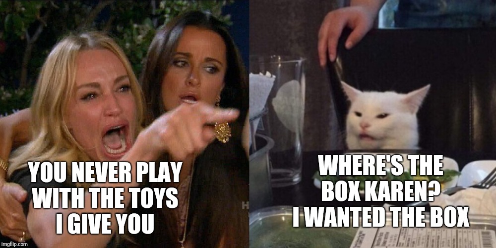 Karen and the Cat MEME. Karona Virus memes too. Page 24