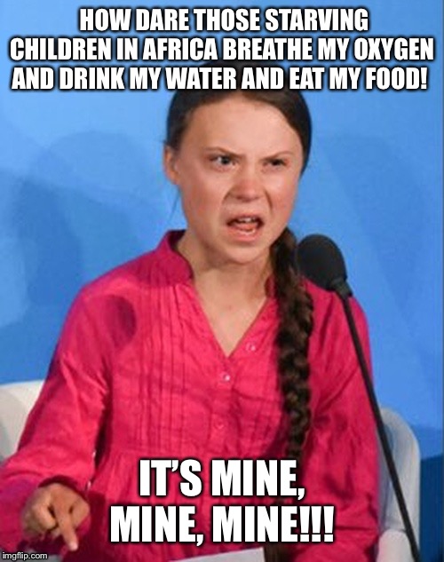 Greta Thunberg how dare you Imgflip