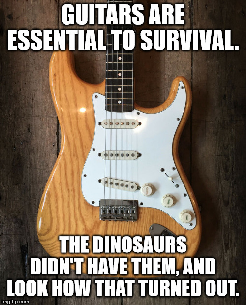 No words only funny guitar memes and gifs Page 9 Telecaster Guitar