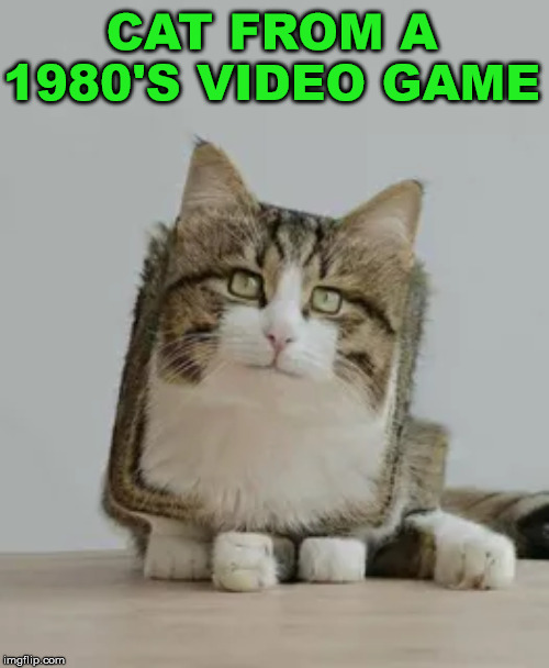gaming cats Memes & GIFs Imgflip
