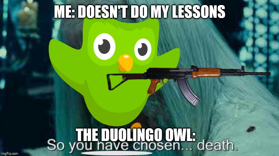 duolingo Memes & GIFs Imgflip