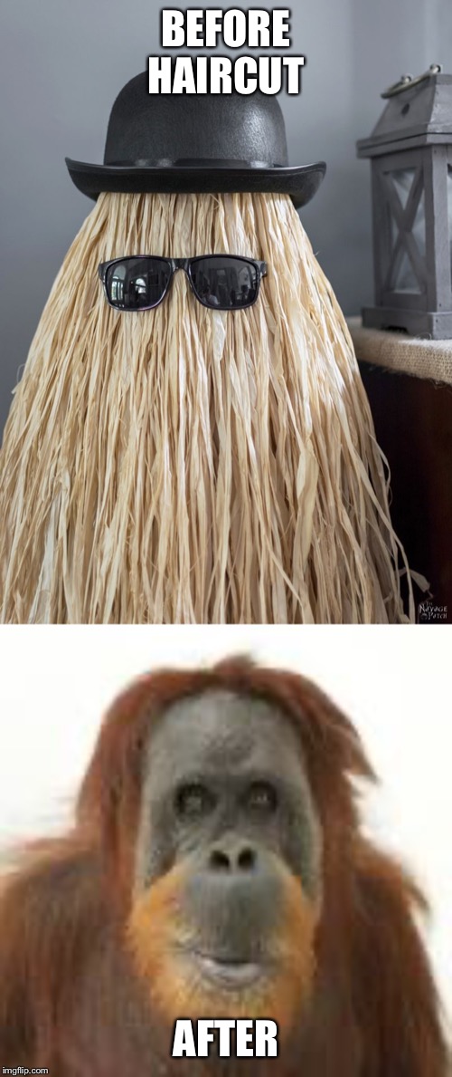 haircut Memes & GIFs Imgflip