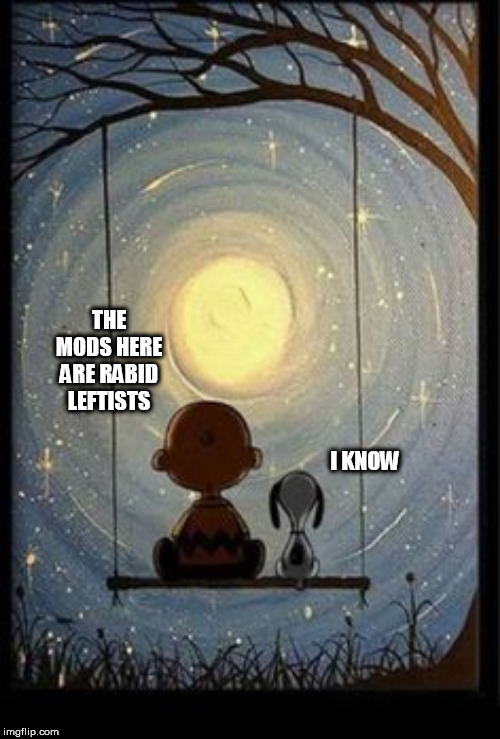 Peanuts Imgflip