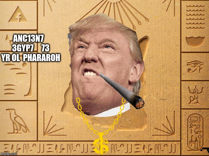 Grumpy Cat Egypt Imgflip