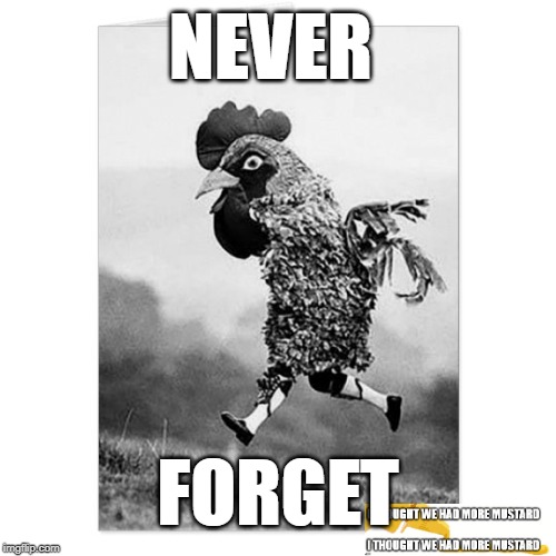Never Imgflip