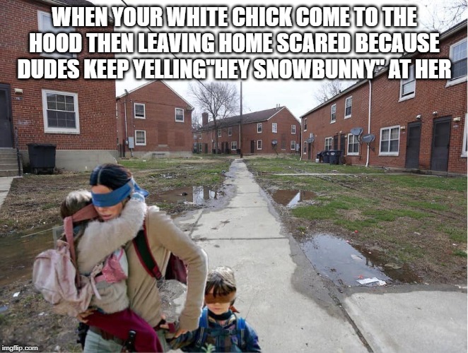 Image tagged in snobunny Imgflip