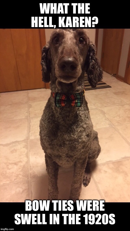 Bow tie? Really? Imgflip