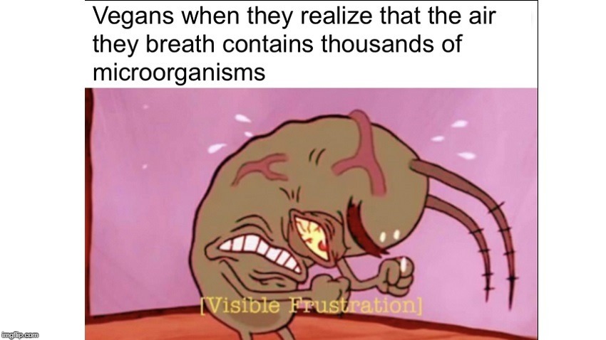 Skeleton Vibing Gif Llll hundreds of beautiful animated skeletons