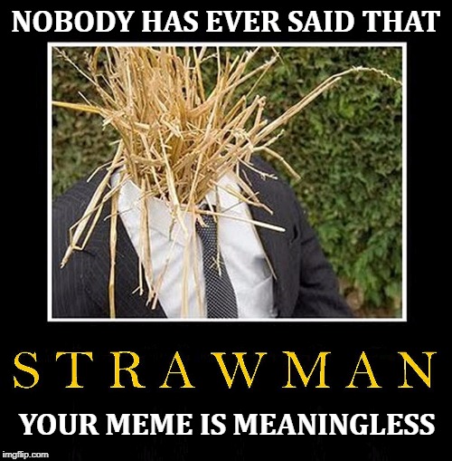 Straw man argument your meme is meaningless Memes Imgflip