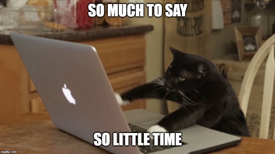 Image tagged in furiously typing cat Imgflip