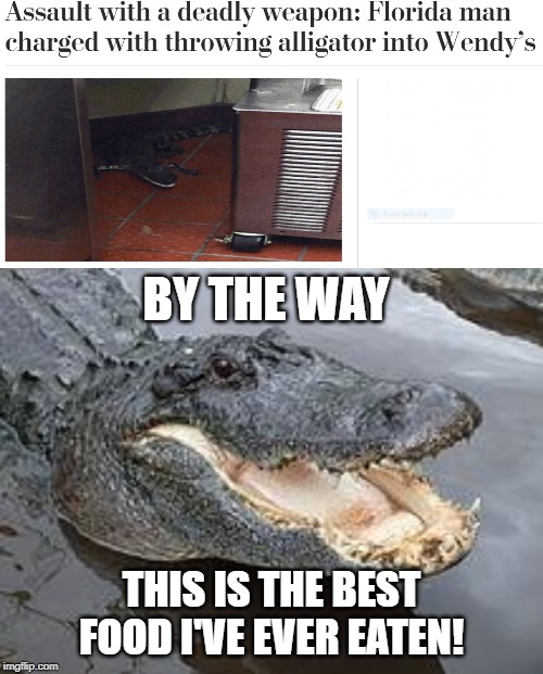Alligator is deadly Imgflip