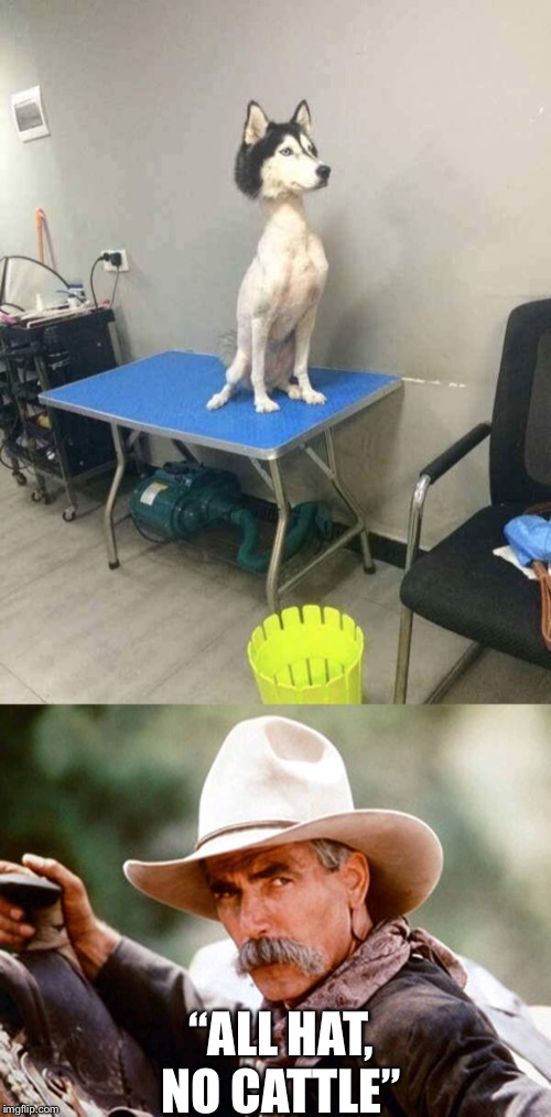 Image tagged in sam elliott cowboy,shaved dog husky Imgflip