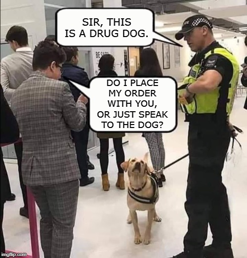 Sir, this is a drug dog. Imgflip