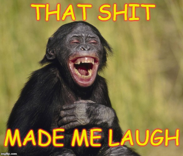 MEME THREAD 56 RIP RBG Page 3 Sherdog Forums UFC, MMA & Boxing