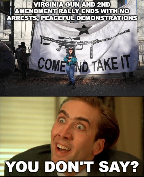 Image tagged in you don't say nicholas cage,virginia gun raly,2nd