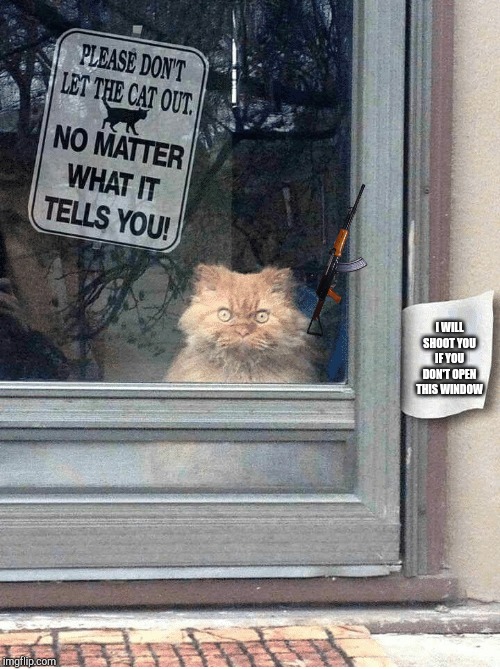 Image tagged in don't let the cat out Imgflip