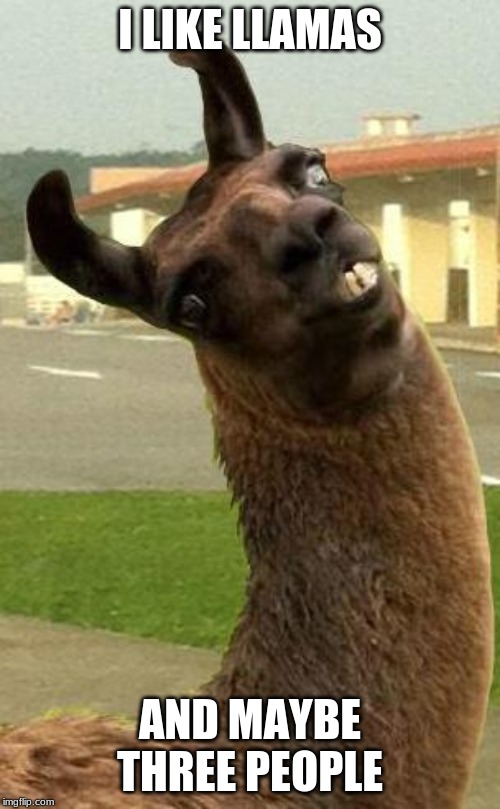 17+ Funny Memes Of Llamas Factory Memes