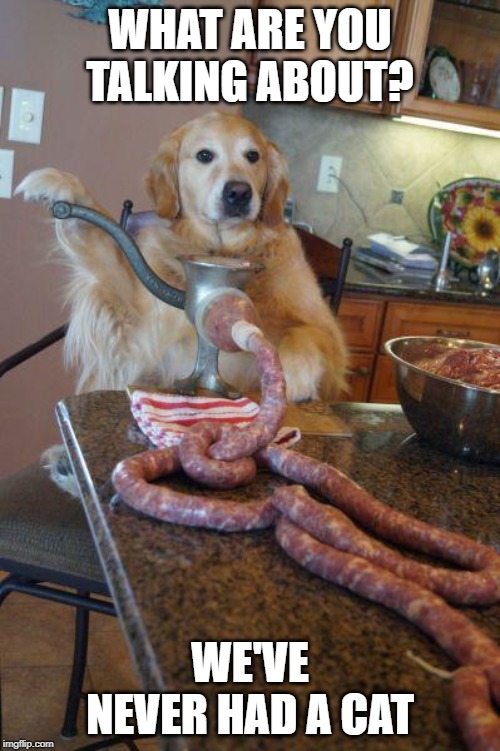 dog sausages Imgflip