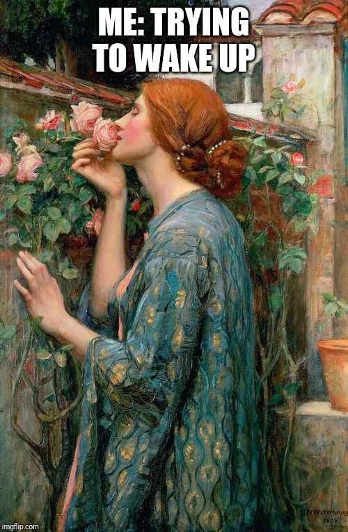 Waking up and smell the roses Imgflip
