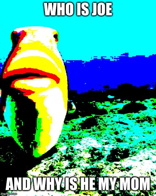 fish Memes & GIFs Imgflip