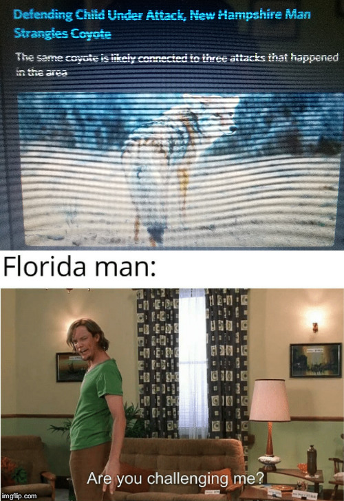 New Hampshire is my birth state Imgflip