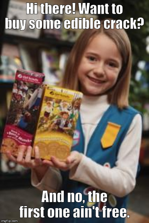 Girl scout Imgflip