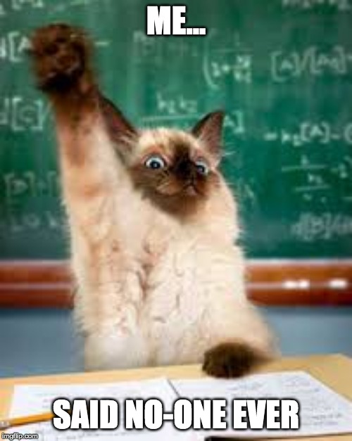 Raised hand cat Memes Imgflip
