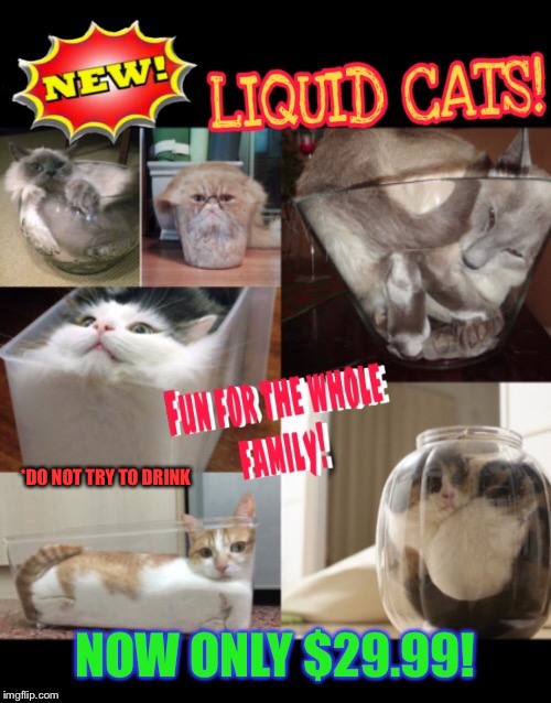 Liquid cats Imgflip
