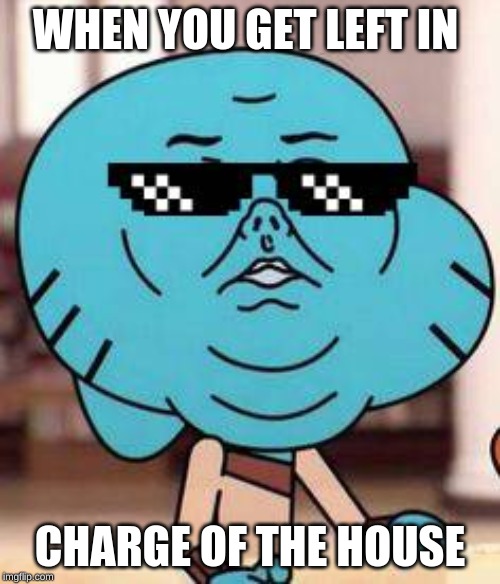 Image tagged in gumball Imgflip