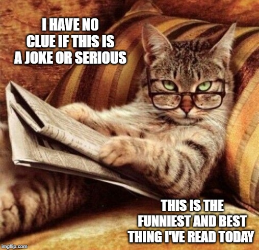 Image tagged in catnewspaper Imgflip