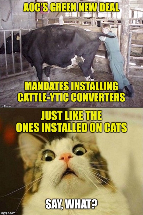 Green New Deal Mandates Imgflip