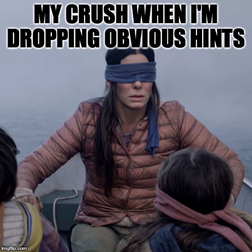 Bird Box Meme Imgflip
