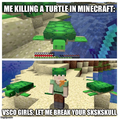 Image tagged in turtle,minecraft,vsco Imgflip