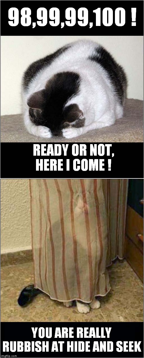 Hide and Seek Failure Imgflip