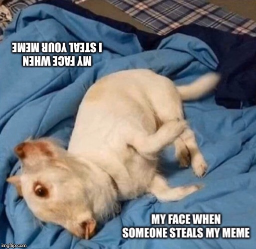 Bamböözled Again Imgflip