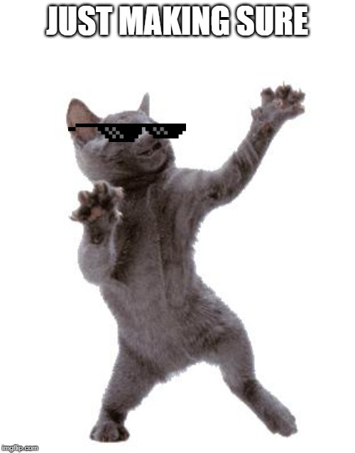 MIRROR CAT Imgflip