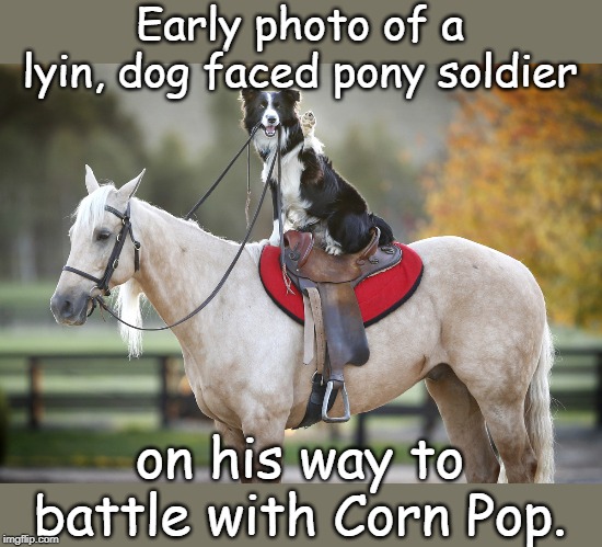 lyin, dog faced pony soldier Imgflip