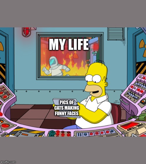 homer simpson Imgflip