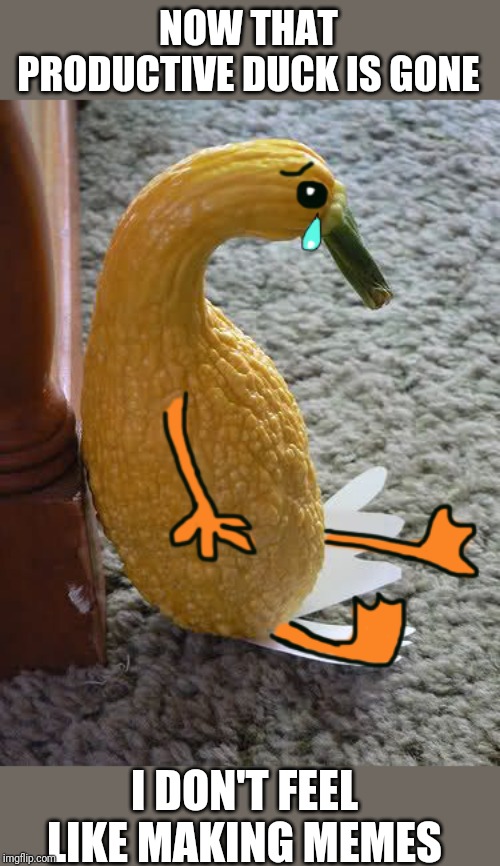 Image tagged in duck,sad Imgflip
