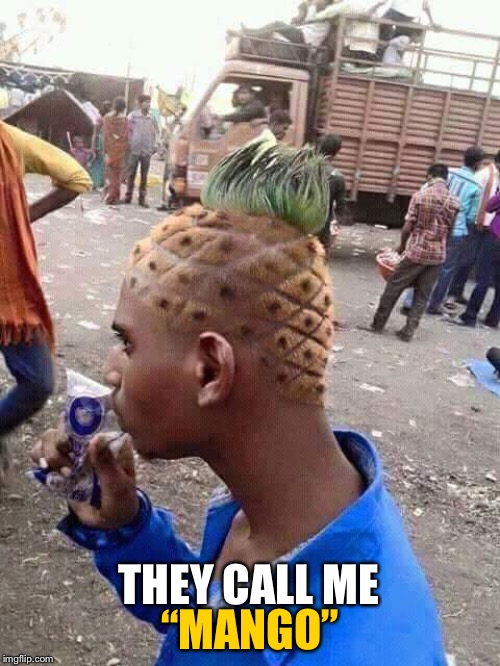 Pineapple hair Imgflip