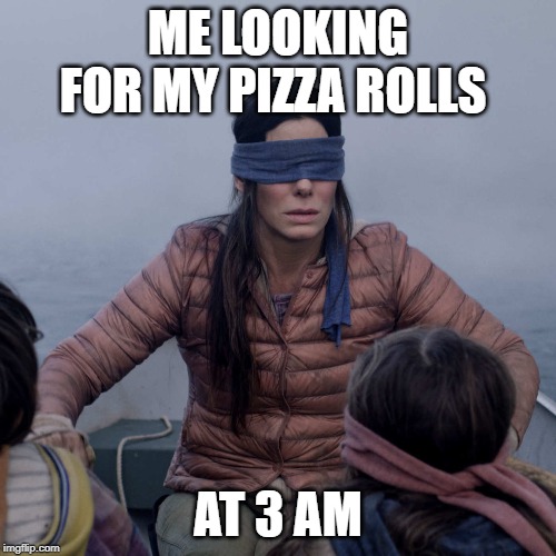 Bird Box Meme Imgflip