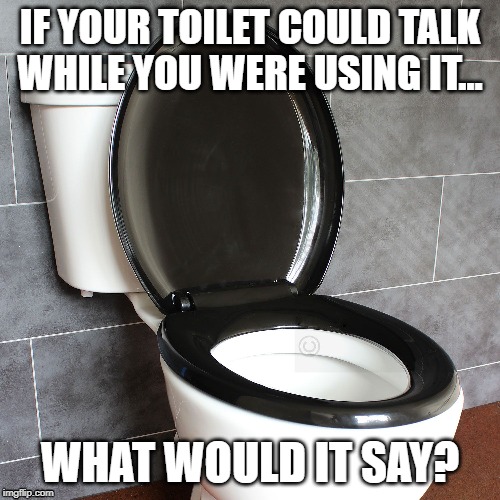 talking toilet Imgflip